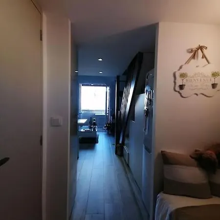 Magnifique Duplex Face A La Апартаменты *