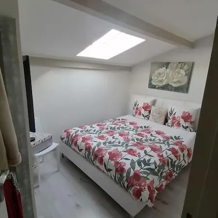 Magnifique Duplex Face A La *